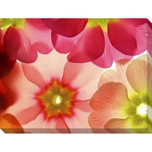 Meet your Posher, Marisa